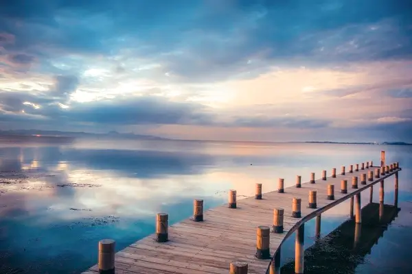 介绍品牌公司的抖音