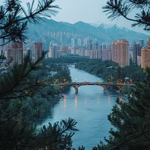 保洁公司林润简历介绍