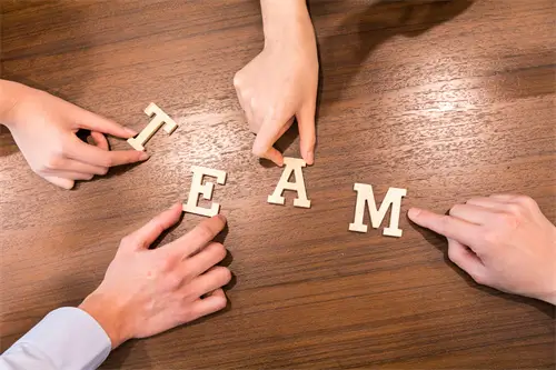 巴沙丽尔公司介绍